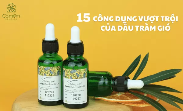 Dầu tràm có tác dụng gì? 15 Công dụng