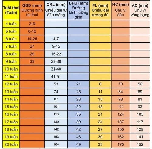 Các chỉ số trong kết quả siêu âm thai