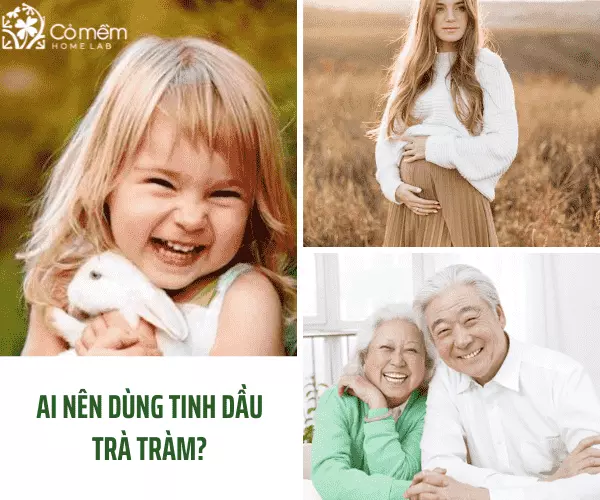 Dầu tràm có tác dụng gì? 15 Công dụng