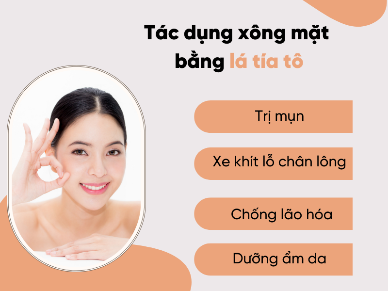 Xông mặt bằng lá tía tô tốt như thế nào? Các cách xông mặt bằng lá tía tô hiệu quả