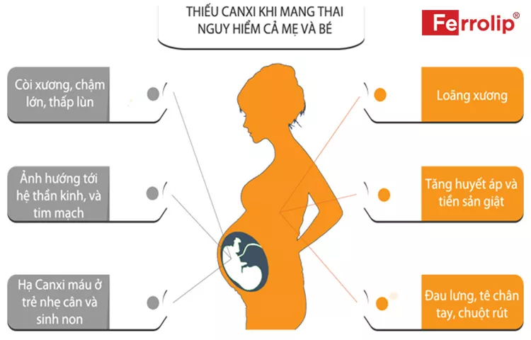 Bà bầu uống sắt và canxi vào tháng thứ mấy? Cách bổ sung hiệu quả nhất