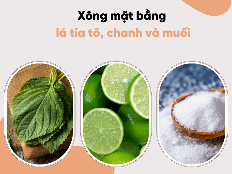 Xông mặt bằng lá tía tô tốt như thế nào? Các cách xông mặt bằng lá tía tô hiệu quả