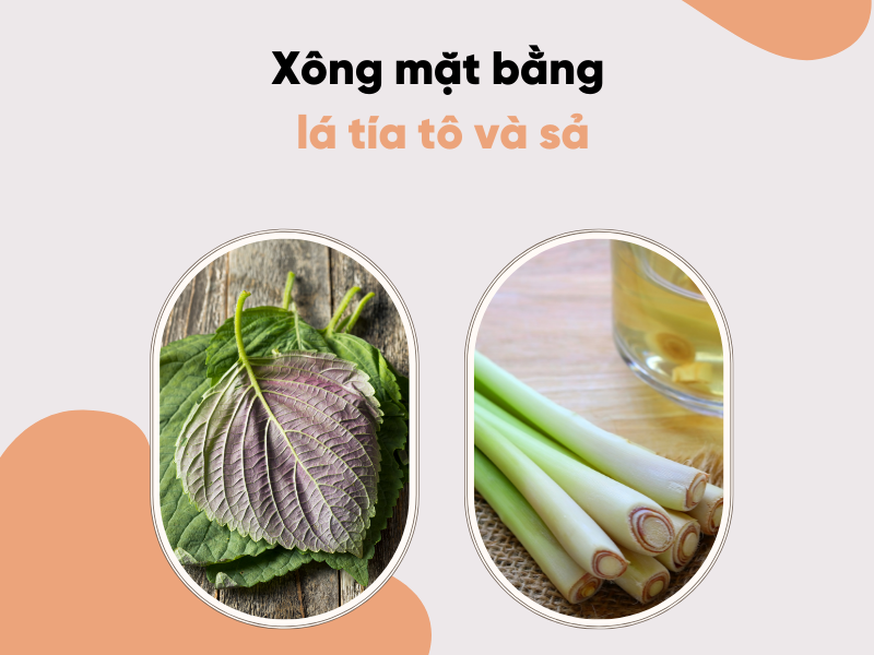 Xông mặt bằng lá tía tô tốt như thế nào? Các cách xông mặt bằng lá tía tô hiệu quả