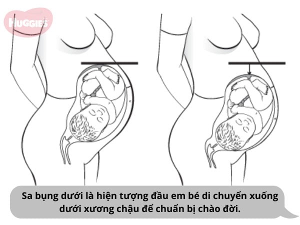 11 dấu hiệu sắp sinh (chuyển dạ) của mẹ bầu trước 1, 2 ngày và 1 tuần