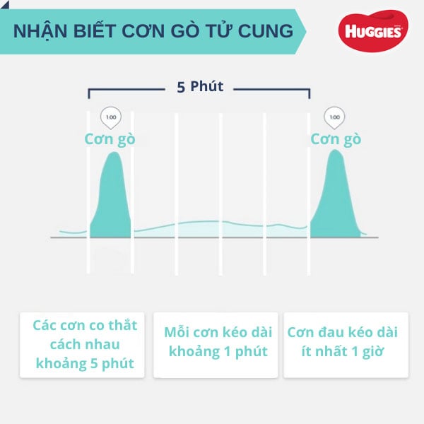 11 dấu hiệu sắp sinh (chuyển dạ) của mẹ bầu trước 1, 2 ngày và 1 tuần