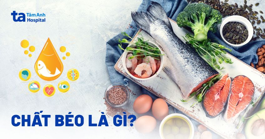 Chất béo là gì? Các loại chất béo, vai trò và tác dụng với cơ thể