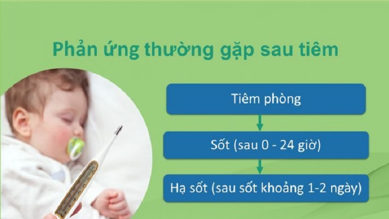 Cách hạ sốt cho trẻ sau khi tiêm phòng: cha mẹ nên biết để an toàn cho con