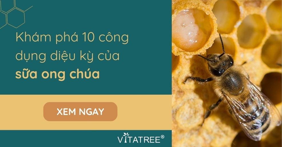 Khám phá 10 công dụng diệu kỳ của sữa ong chúa cho sức khoẻ