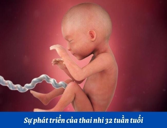 Khi thai nhi 32 tuần tuổi, mẹ bầu cần chú ý và chuẩn bị những gì?