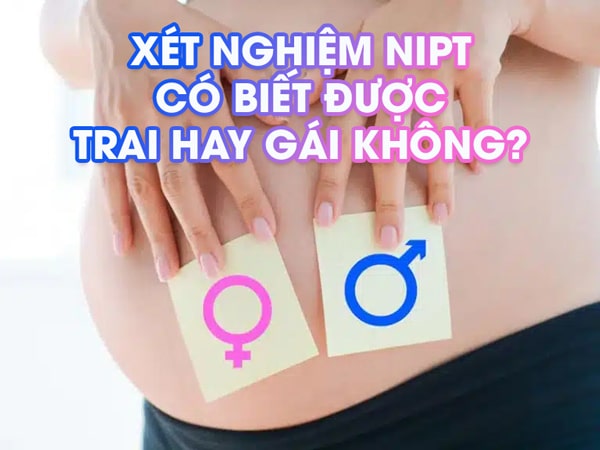 Xét Nghiệm NIPT Có Biết Được Trai Hay Gái Không?