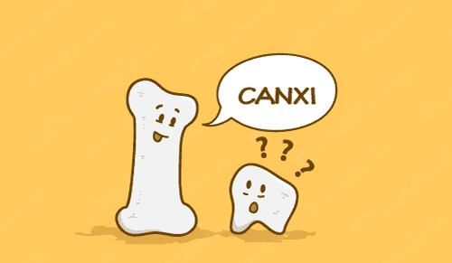 Uống canxi khi bụng đói: Lợi hay hại?