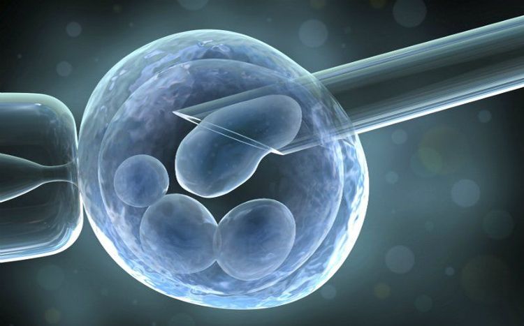 Cách tính tuổi thai khi thụ tinh trong ống nghiệm (IVF)