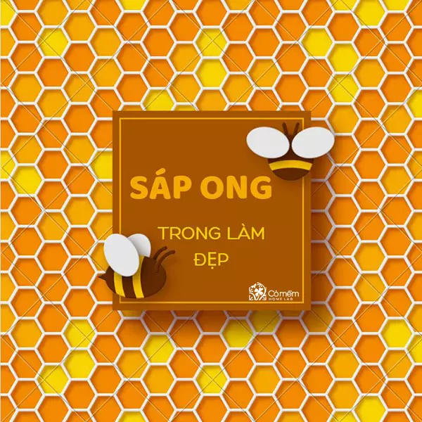 Sáp ong: Những công dụng của sáp ong không phải ai cũng biết