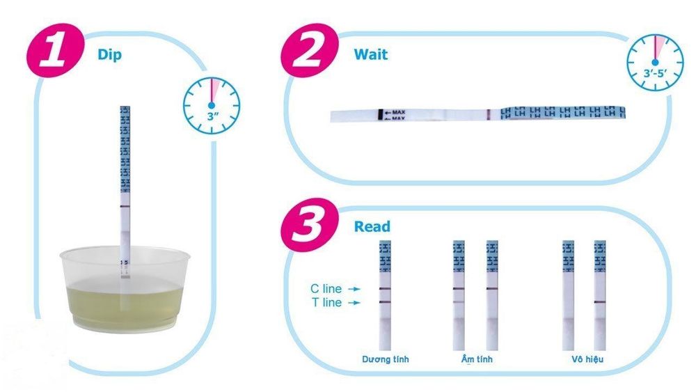 Sự rụng trứng diễn ra như thế nào?