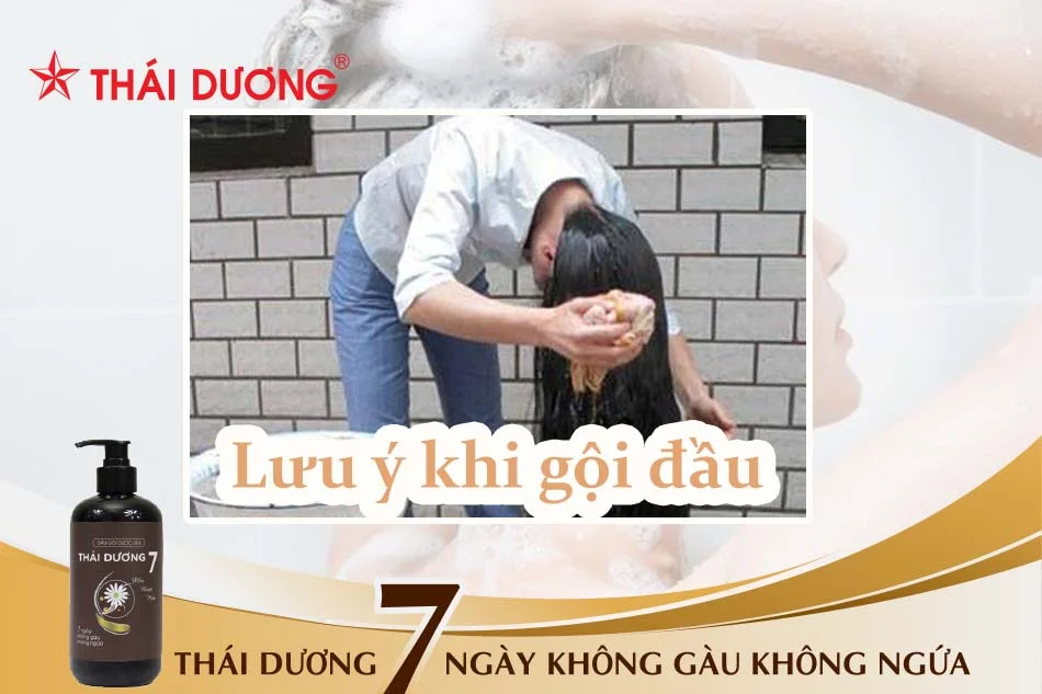 Bật mí 10 cách gội đầu đúng cách chuẩn salon bạn không thể bỏ lỡ