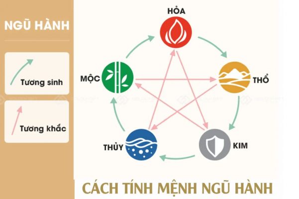 2024 mệnh gì hợp màu gì? Tử vi Giáp Thìn