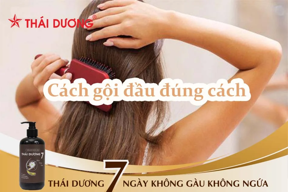 Bật mí 10 cách gội đầu đúng cách chuẩn salon bạn không thể bỏ lỡ