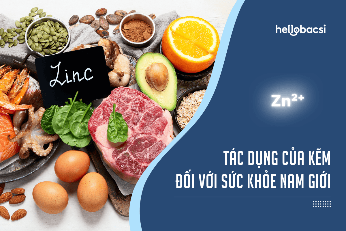 Kẽm có tác dụng gì với nam giới? Nhóm thức ăn giàu kẽm cho đàn ông