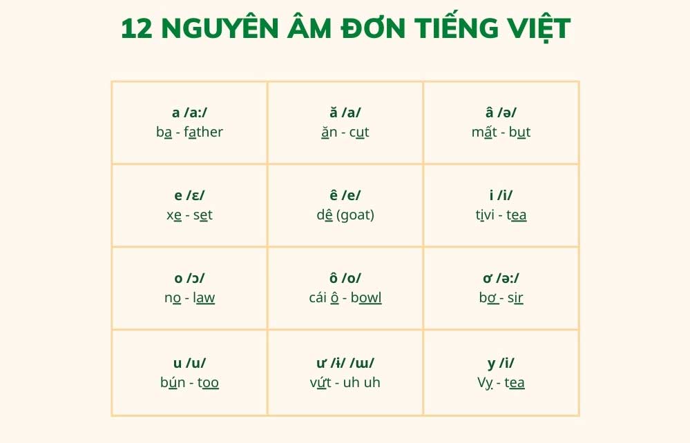 Bảng chữ cái tiếng Việt chuẩn theo bộ GD&ĐT mới nhất [Update 2024]