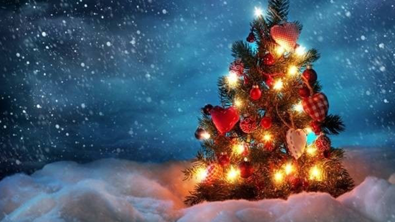 Gợi Ý 15 Mẫu Trang Trí Cây Thông Noel Tuyệt Đẹp