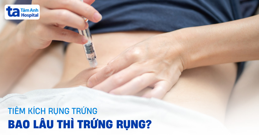 Sau tiêm kích rụng trứng bao lâu thì trứng rụng? [THẮC MẮC]