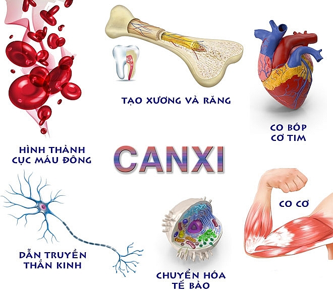 Canxi uống lúc nào tốt nhất?