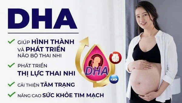 DHA cho bà bầu: Thời điểm uống, cách uống và liều lượng uống tối ưu! Vì sao lại có loại DHA dành riêng cho bà bầu?