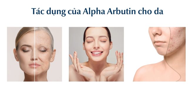 Alpha Arbutin là gì? Tác dụng với da và lưu ý khi sử dụng