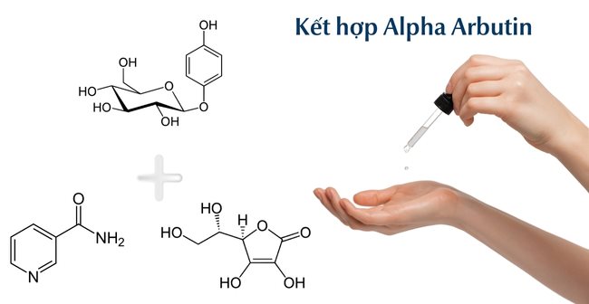 Alpha Arbutin là gì? Tác dụng với da và lưu ý khi sử dụng