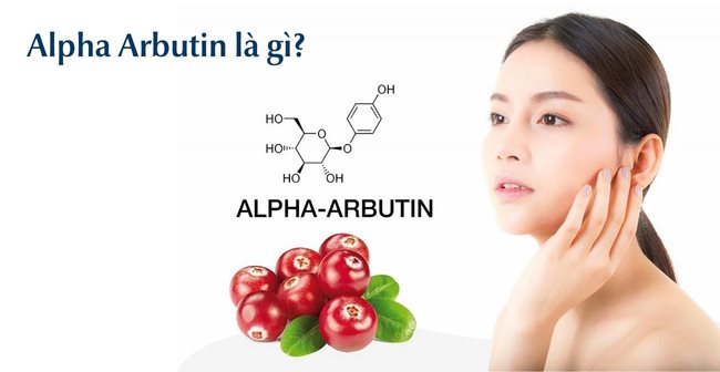 Alpha Arbutin là gì? Tác dụng với da và lưu ý khi sử dụng