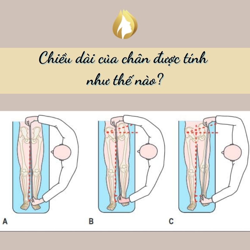 Cách Đo Chiều Dài Chân Chuẩn Xác Nhất 2024