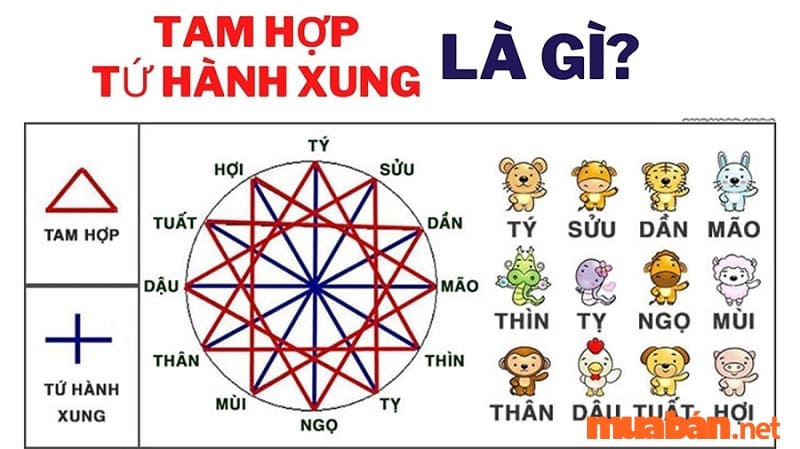 Sinh năm 2015 Mệnh Gì? Hợp tuổi nào? Hướng nào? Màu gì?