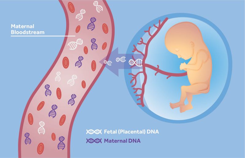 Tư vấn: Xét nghiệm NIPT có cần nhịn ăn không và cần lưu ý gì?