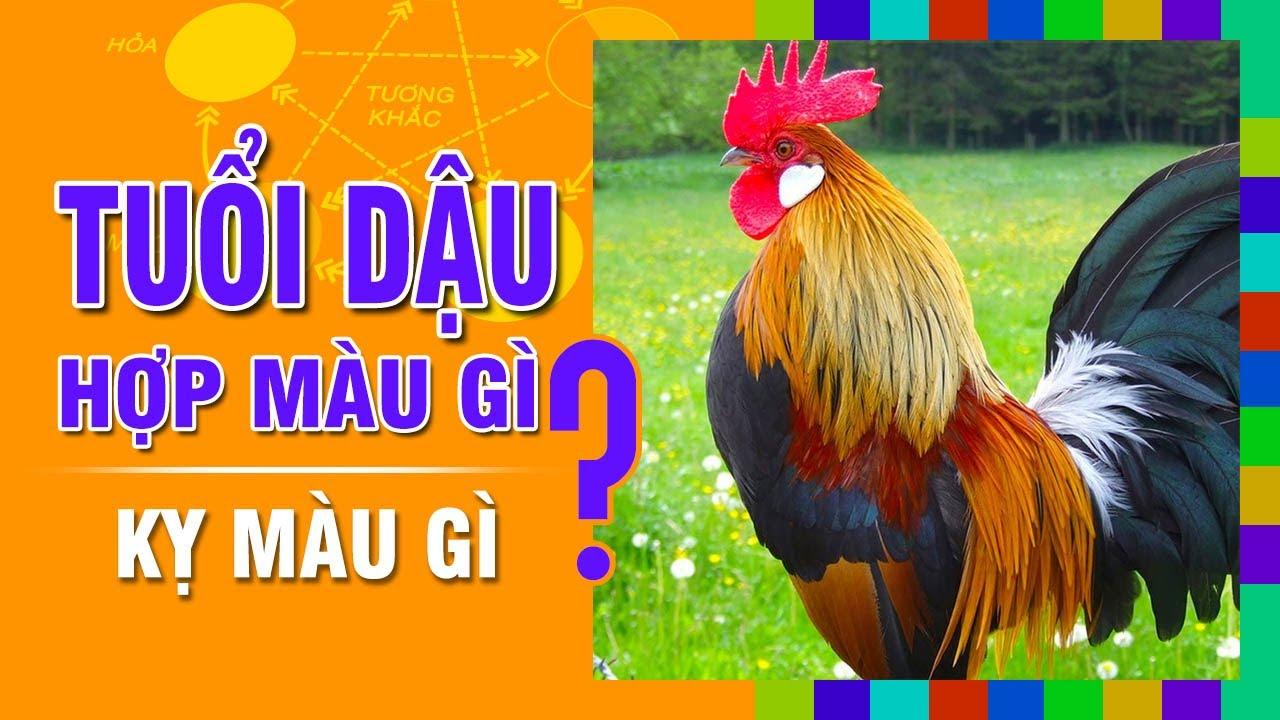 Tử vi tuổi Dậu - Giải đáp những bí ẩn của con giáp thứ 10