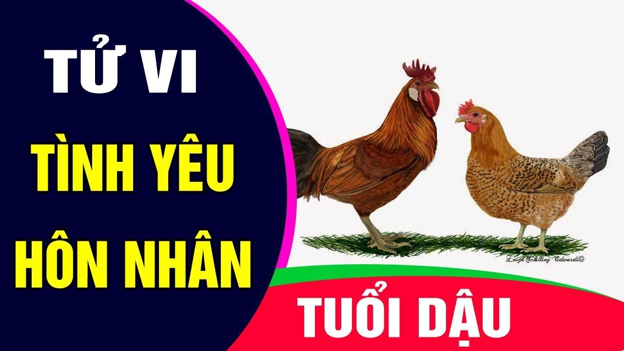 Tử vi tuổi Dậu - Giải đáp những bí ẩn của con giáp thứ 10