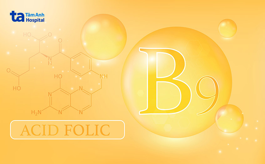 Acid folic (Vitamin B9): Công dụng, liều dùng và các tác dụng phụ