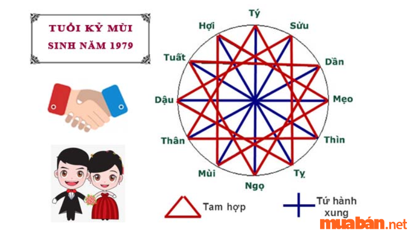 Tuổi Kỷ Mùi sinh năm 1979 mệnh gì, hợp và kỵ màu gì, hướng nào tốt?