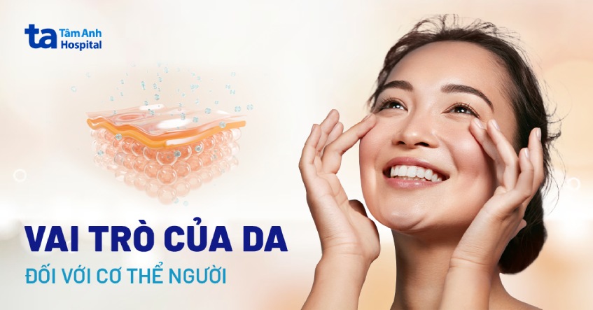 Da là gì? Cấu trúc, chức năng vai trò của da đối với cơ thể người