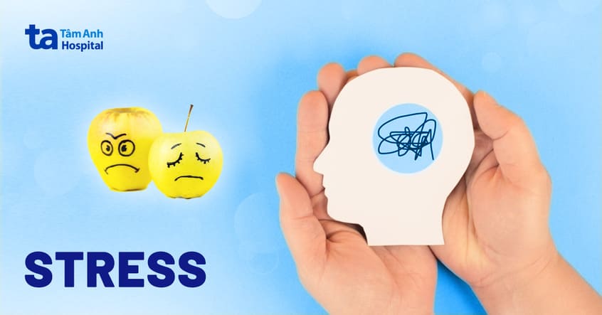 Stress là gì? Nguyên nhân, dấu hiệu và biến chứng thường gặp