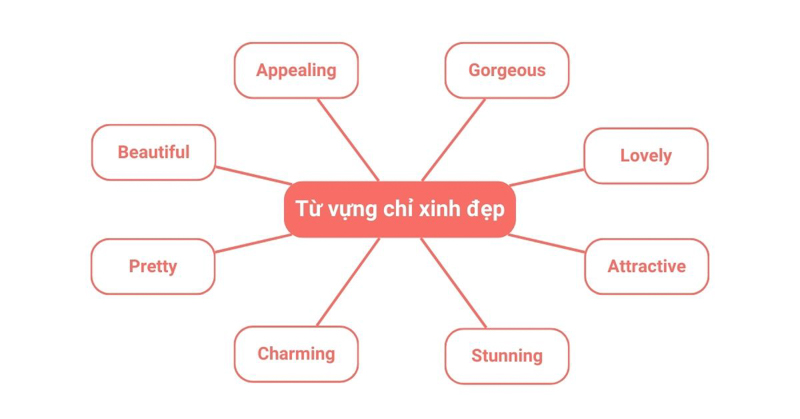 Những từ chỉ sự xinh đẹp trong tiếng Anh và hướng dẫn cách dùng