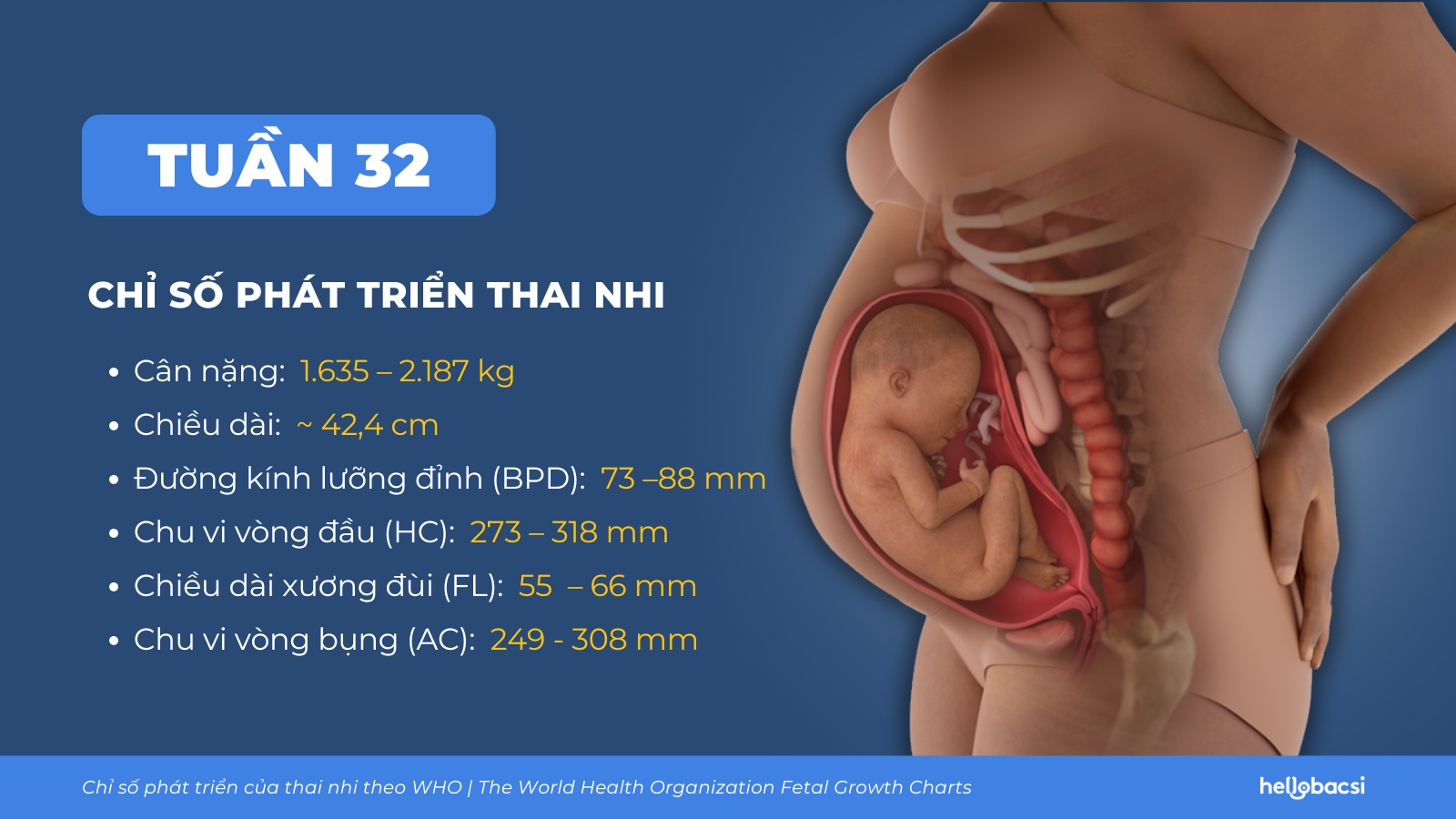 Thai nhi 32 tuần phát triển thế nào? Bí quyết để mẹ khỏe, bé phát triển tốt