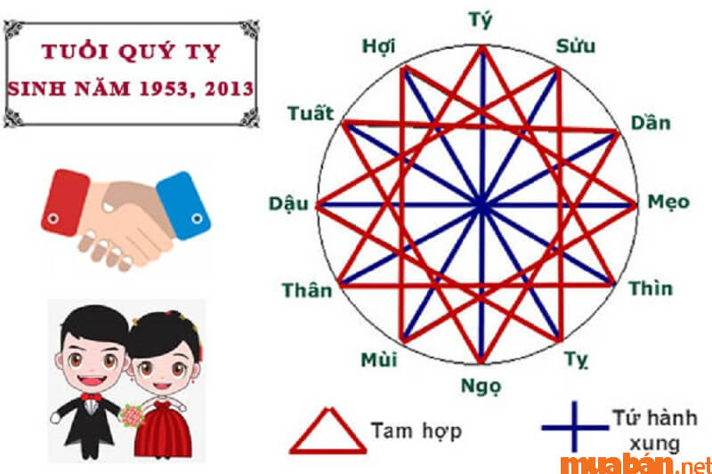 Tuổi Quý Tỵ 2013 mệnh gì, hợp màu gì, hướng nào tốt?