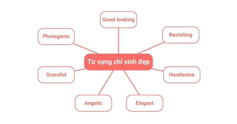 Những từ chỉ sự xinh đẹp trong tiếng Anh và hướng dẫn cách dùng