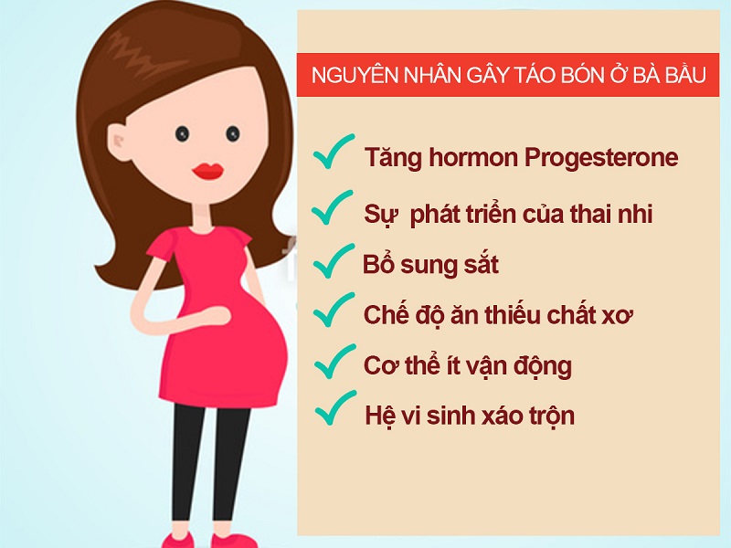 Cẩm nang sức khỏe: bà bầu bị táo bón nên ăn gì?