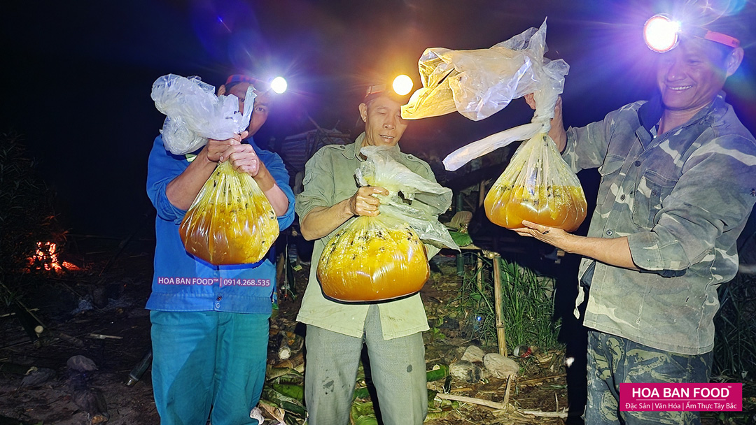 MẬT ONG RỪNG SÔNG ĐÀ - HOA BAN FOOD™