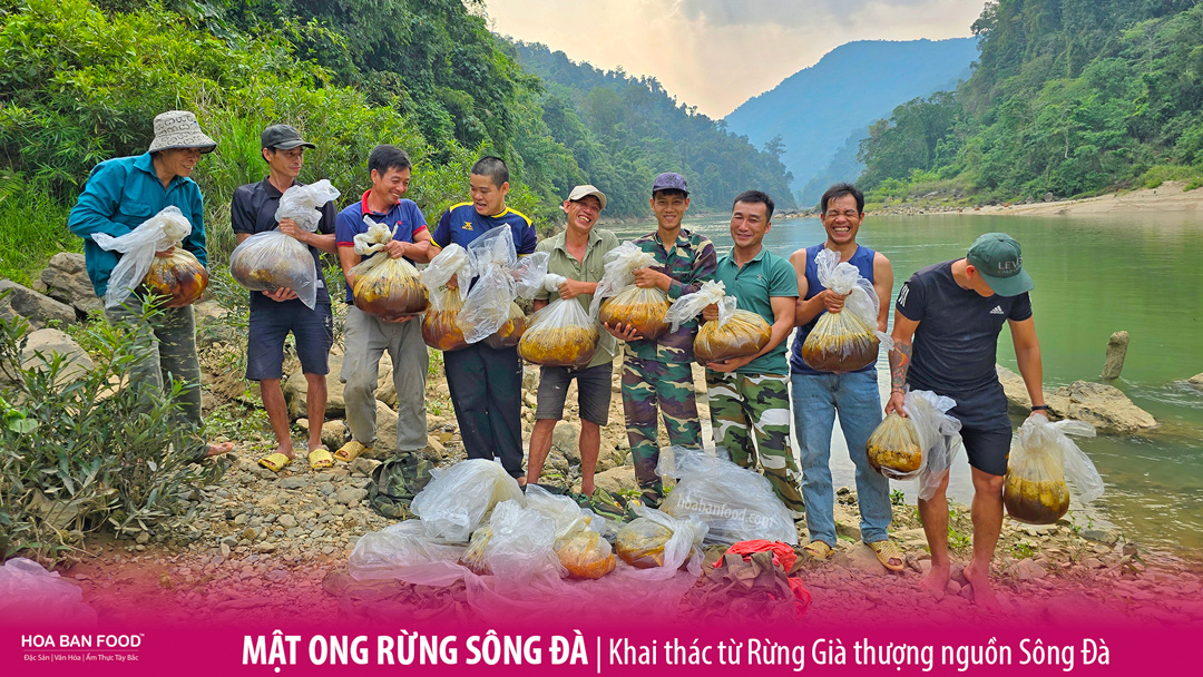 MẬT ONG RỪNG SÔNG ĐÀ - HOA BAN FOOD™