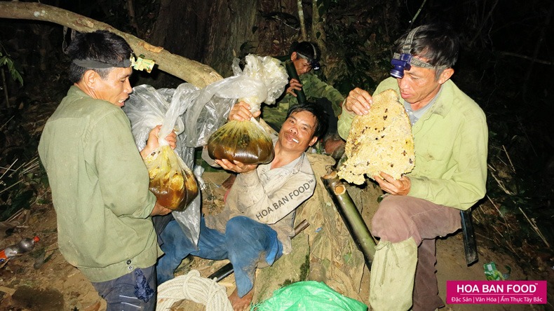 MẬT ONG RỪNG SÔNG ĐÀ - HOA BAN FOOD™