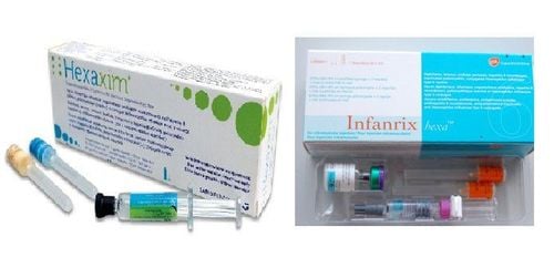 Vắc-xin 6 trong 1 Infanrix Hexa và Hexaxim phòng những bệnh gì?