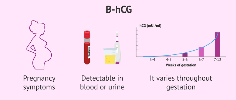 Vì sao xét nghiệm beta HCG âm tính nhưng vẫn có thai?