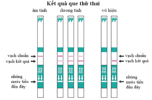 Thử thai - 6 điều bạn phải biết trước khi nhúng que vào cốc nước tiểu